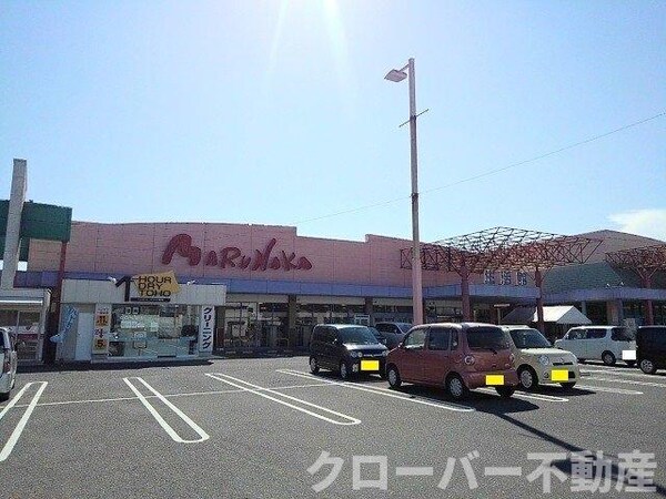 周辺環境(マルナカ宇多津店まで1000m)