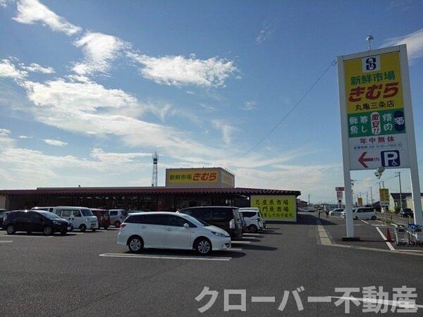 周辺環境(新鮮市場きむら丸亀三条店まで1100m)