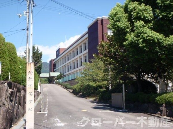 周辺環境(三豊市立上高瀬小学校まで1100m)