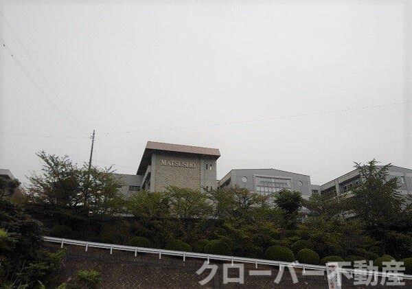 周辺環境(三豊市立松崎小学校まで900m)