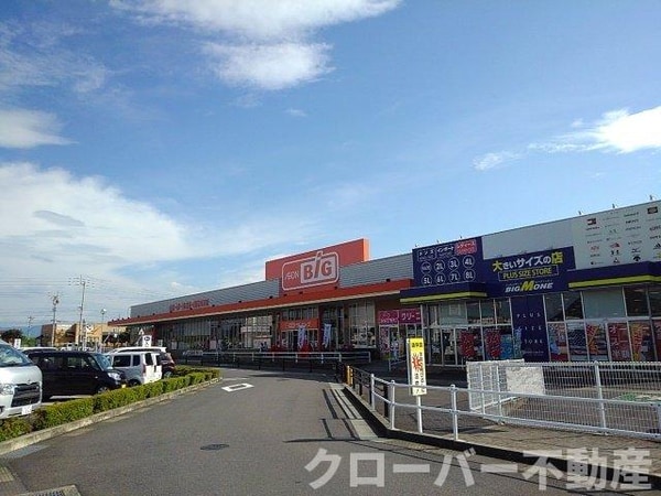 周辺環境(ザ・ビッグ丸亀城南店まで1100m)