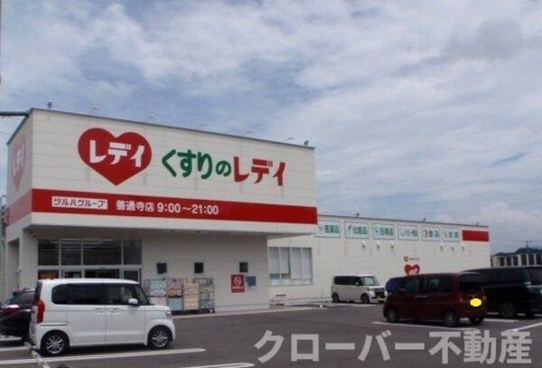 周辺環境(くすりのレディ善通寺店まで220m)