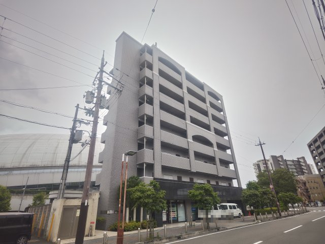 シロハイヌ門真