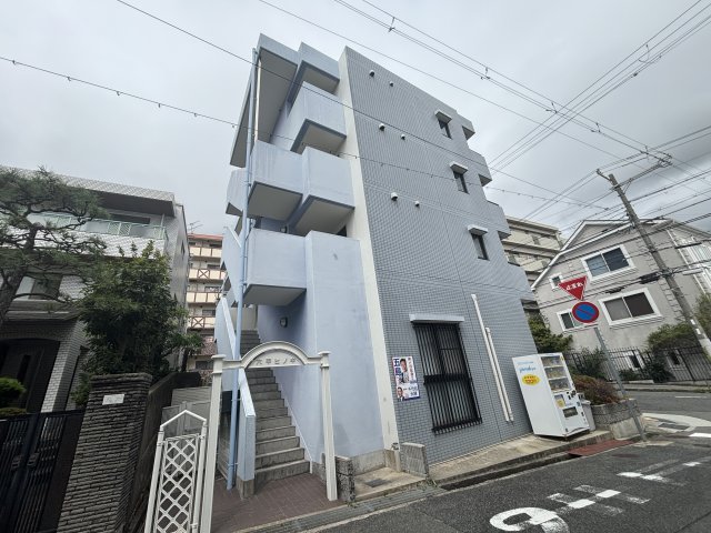 六甲ヒノキ