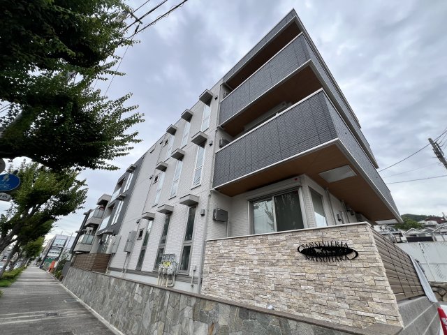 Sansevieria夏原