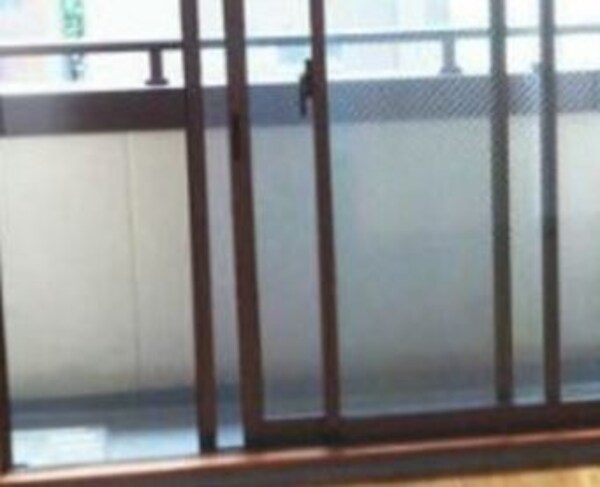 内装他
