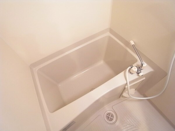 浴室(見学予約受け付け中。設備充実のハイグレード賃貸マンションです)