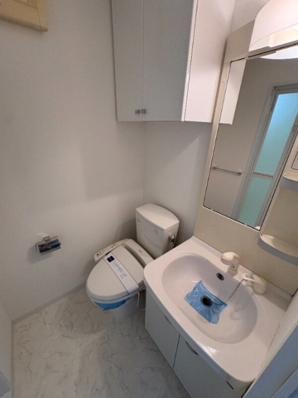 独立洗面台(設備備充実のハイグレード賃貸マンションです。)
