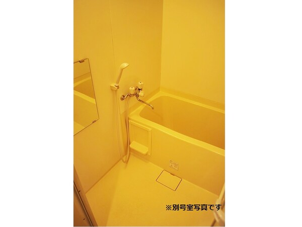 内装他