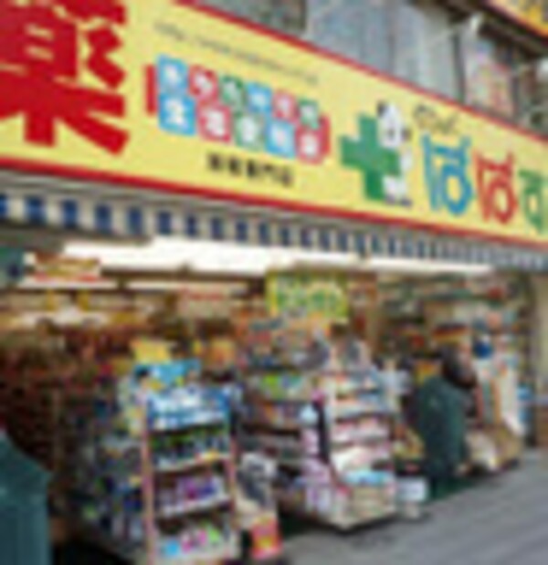 周辺環境(どらっぐ ぱぱす 浅草雷門店 990m)