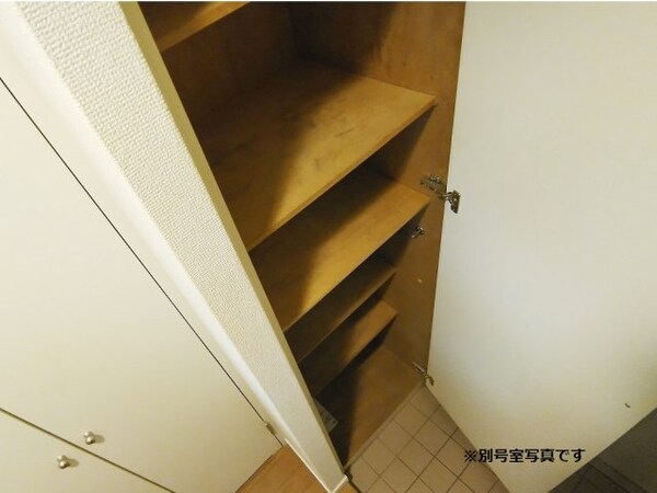 内装他