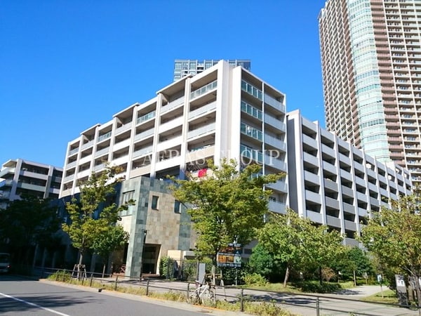 外観(弊社でお手続き頂きますと仲介手数料が賃料の半月分＋消費税から)