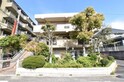 ハイムイワデ