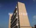 晴美台C団地