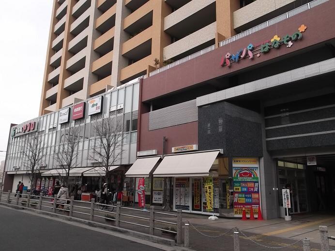 物件内観写真34　(パザパ花園 411m)