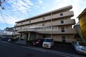 セラヴィ島之内
