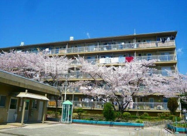 打上団地