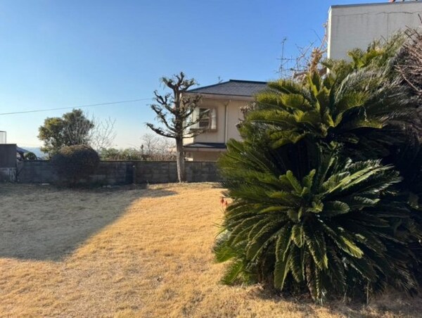 庭