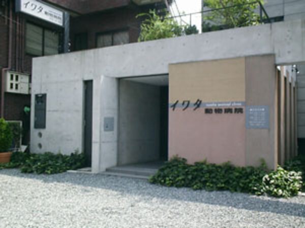 周辺環境(イワタ動物病院 554m)