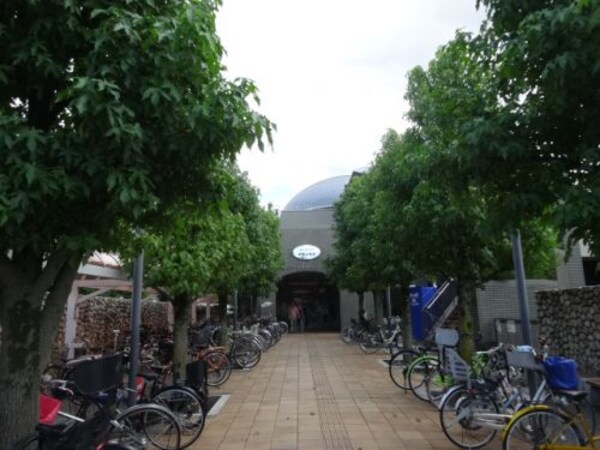 周辺環境(東大阪市立花園図書館 501m)