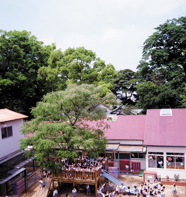 周辺環境(青葉幼稚園 783m)