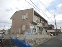 タウニィほととぎす
