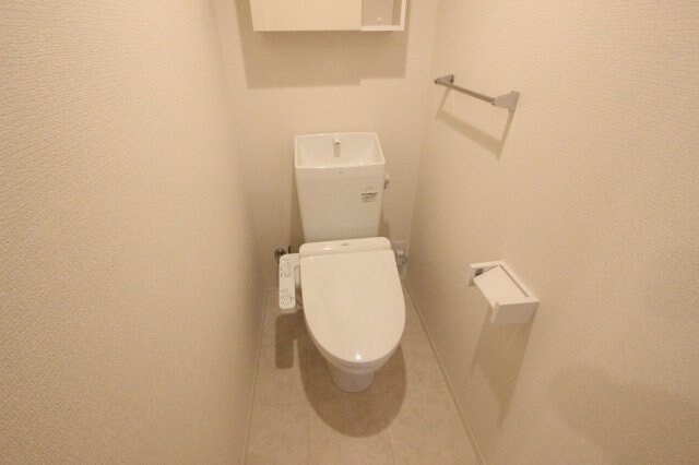 物件内観写真12　(落ち着いた色調のトイレです)