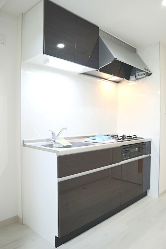 物件内観写真2　(コンパクトなキッチンで掃除もラクラク)