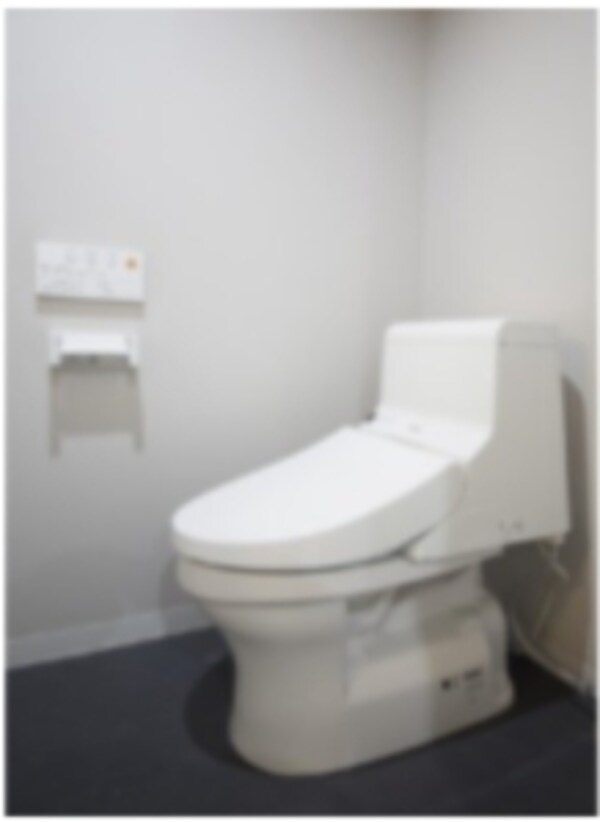 トイレ(コンパクトで使いやすいトイレです)
