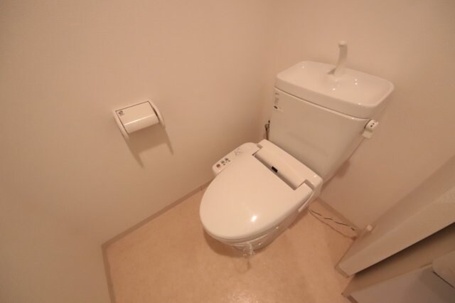 物件内観写真11　(落ち着いたトイレです)