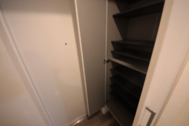 物件内観写真12　(便利な収納スペースです)