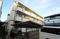 ハイカムール若草