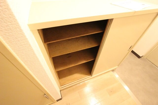 物件内観写真10　(専用の収納スペースです)