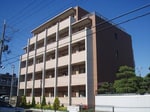 外観も気になるポイント