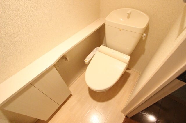 物件内観写真11　(落ち着いたトイレです)