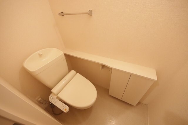 物件内観写真10　(落ち着いたトイレです)