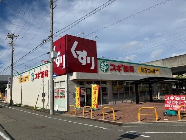 周辺環境(スギ薬局 今津駅北店 1461m)