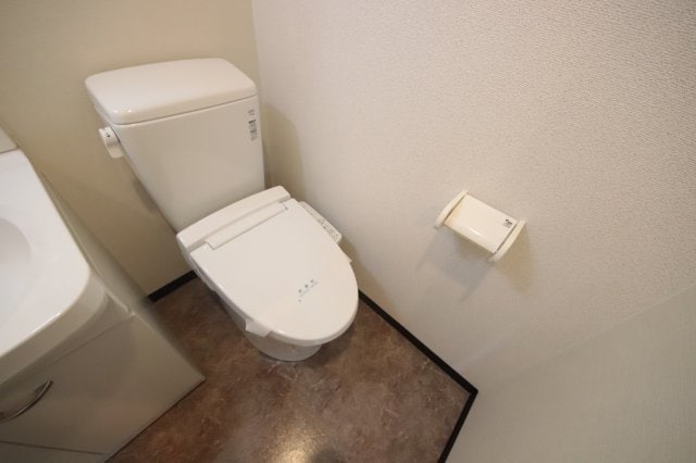 物件内観写真13　(トイレです)