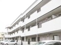 カラジュームマンション