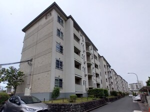 藤阪ハイツD６棟外観写真