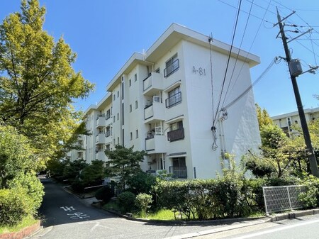 香里三井団地F８１号棟外観写真