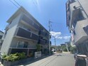 グリシーナ