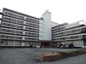 ホープビラ