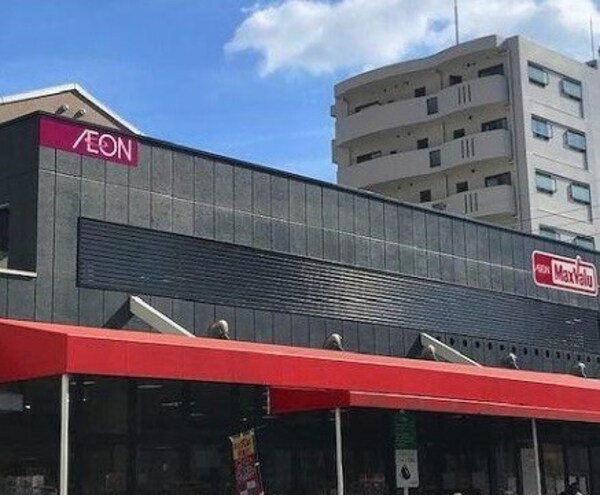 周辺環境(マックスバリュ 代官店（424m）)