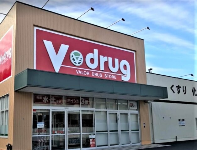 物件外観写真6　(V･drug 千種公園北店（314m）)