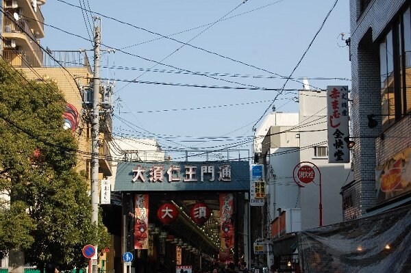 周辺環境(大須商店街（771m）)