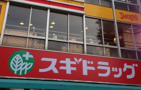 周辺環境(スギドラッグ 東新町店（234m）)