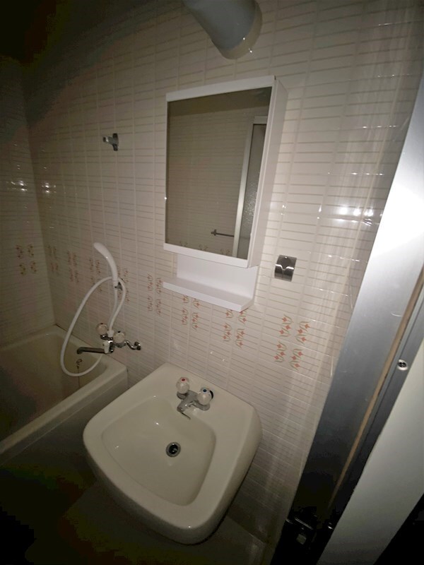 物件内観写真9　(朝の支度にも助かる、独立の洗髪洗面化粧台)