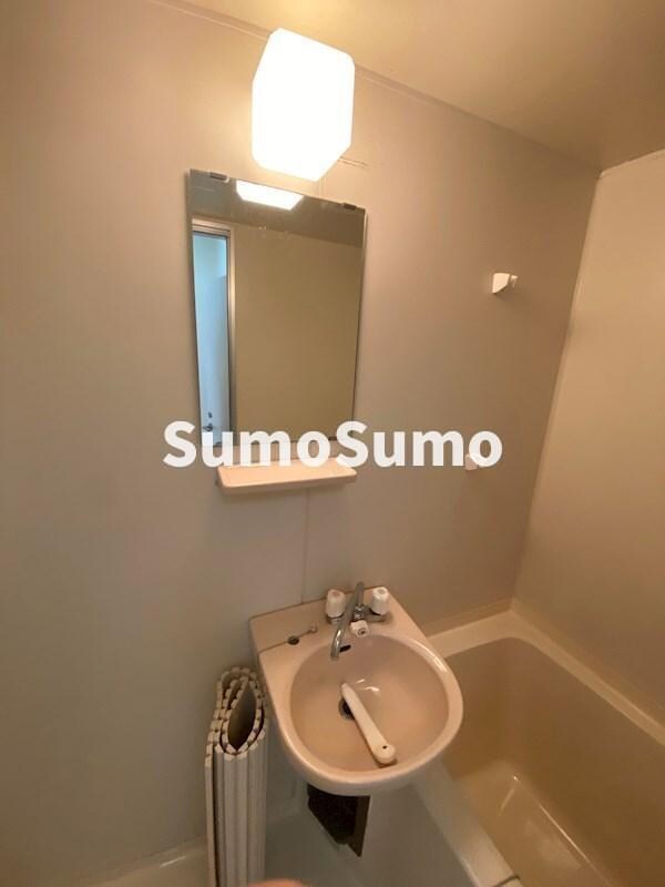 物件内観写真13　(ゆったりとスペースのある洗面所)