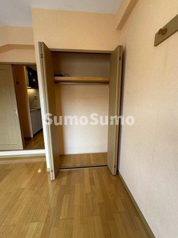 物件内観写真11　(たっぷりとした収納スペースです)